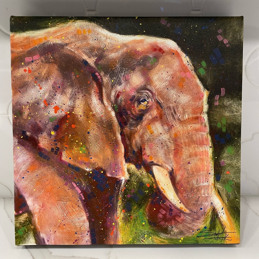 Like New San Diego Zoo Elephant Art - 12” x 12”